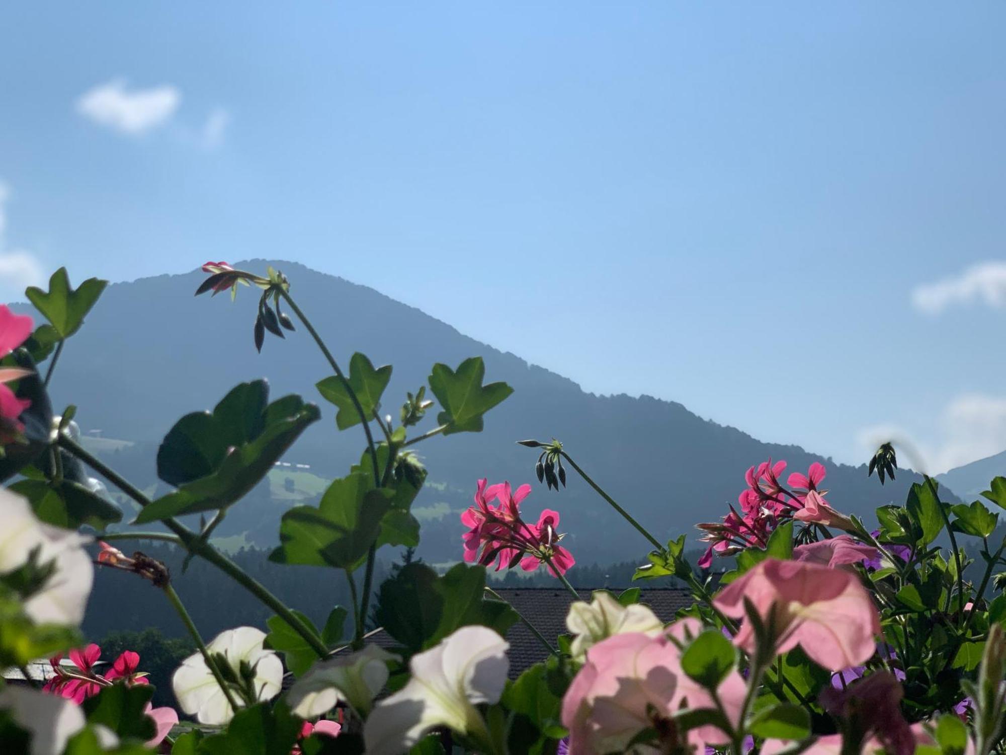 Dorfjuwel Alpbachtal Διαμέρισμα Reith im Alpbachtal Εξωτερικό φωτογραφία